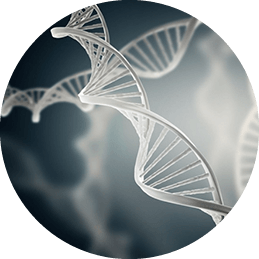 DNA Catcher actividad