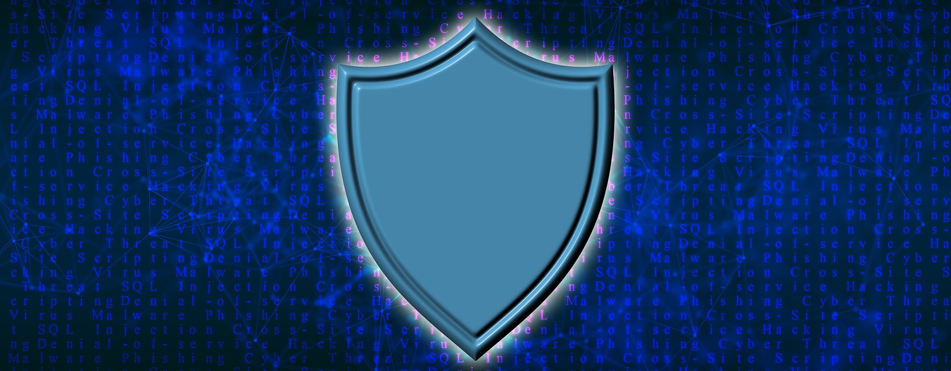 Escudo para la ciberseguridad