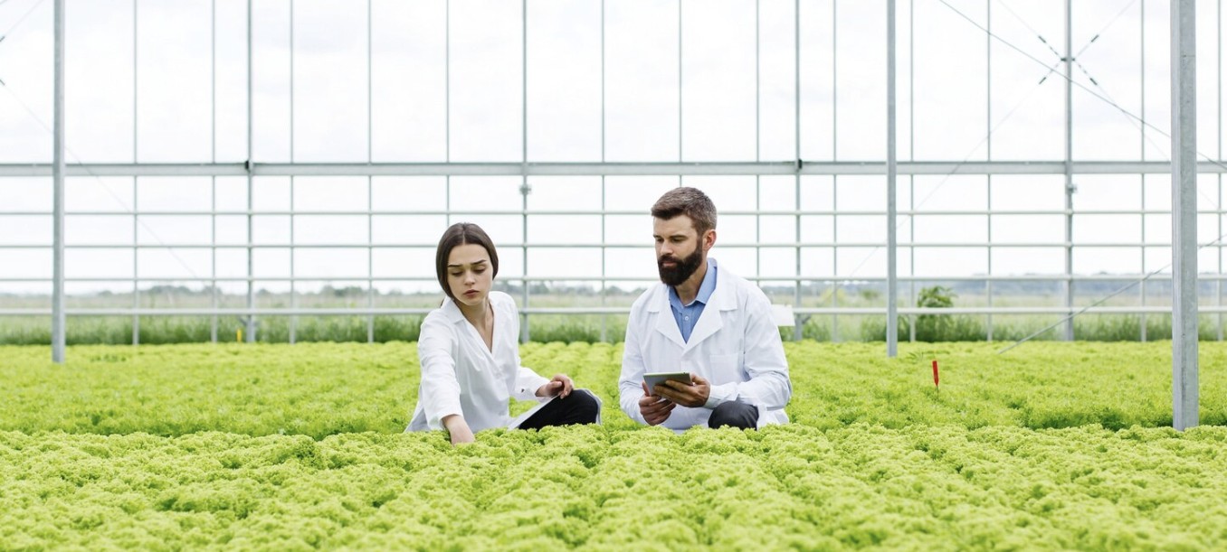 Una mujer y un hombre trabajan en un invernadero