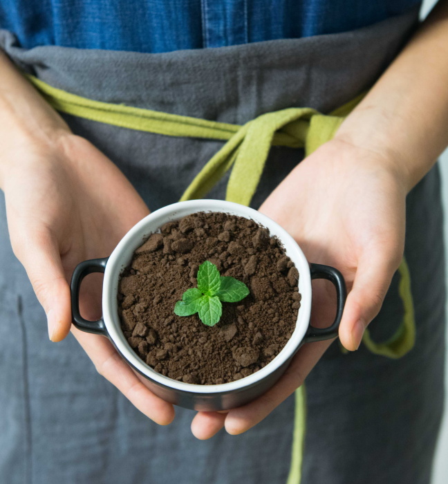 Una mujer sostiene entre sus manos una pequeña maceta con una planta recién plantada