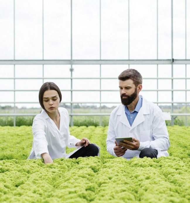Una mujer y un hombre trabajan en un invernadero