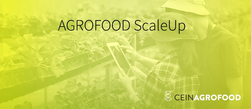 "Agrofood ScaleUp" abre su cuarta edición para impulsar el crecimiento del tejido empresarial agroalimentario