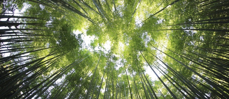 Emprender en el Green Deal europeo