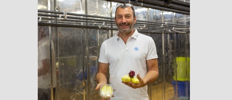 “Todo nuestro mundo gira en torno a la endibia: de la A a la Z”