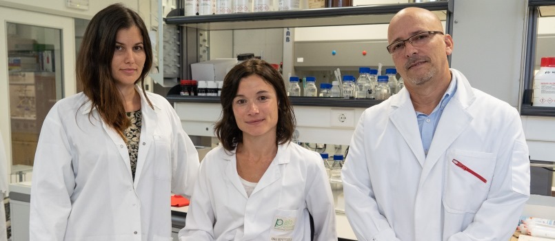 Medibiofarma, un proyecto ‘first in-class’ en la búsqueda de tratamientos más eficaces contra el cáncer