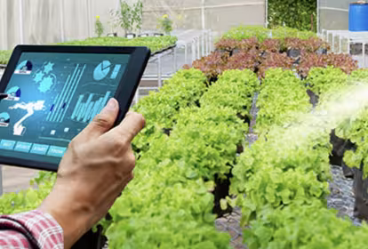Hombre con una tablet en la mano en invernadero