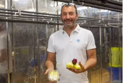 “Todo nuestro mundo gira en torno a la endibia: de la A a la Z”