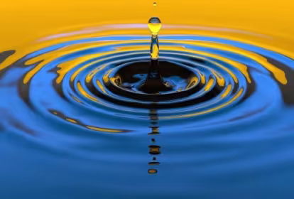 El Servicio Navarro de Empleo-Nafar Lansare pone en marcha dos programas de apoyo a negocios en marcha sobre control de tesorería y digitalización